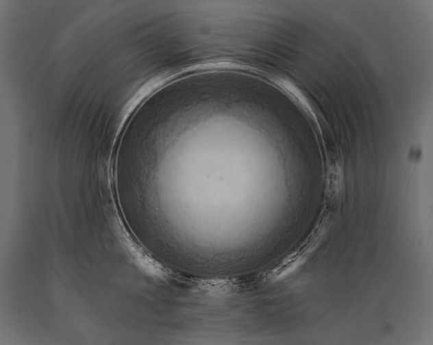 X0000088860813200706291516