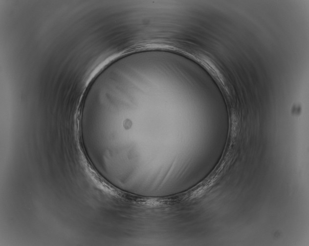 X0000088860814200706291516