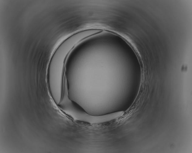 X0000088860815200706291516