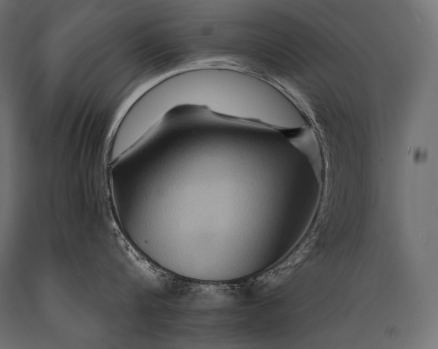 X0000088860816200706291516