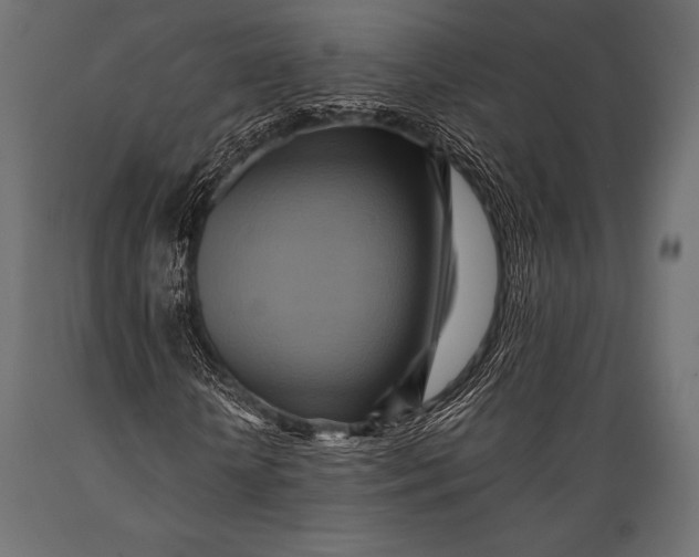X0000088860818200706291516