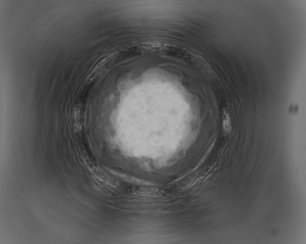 X0000088860819200706291516