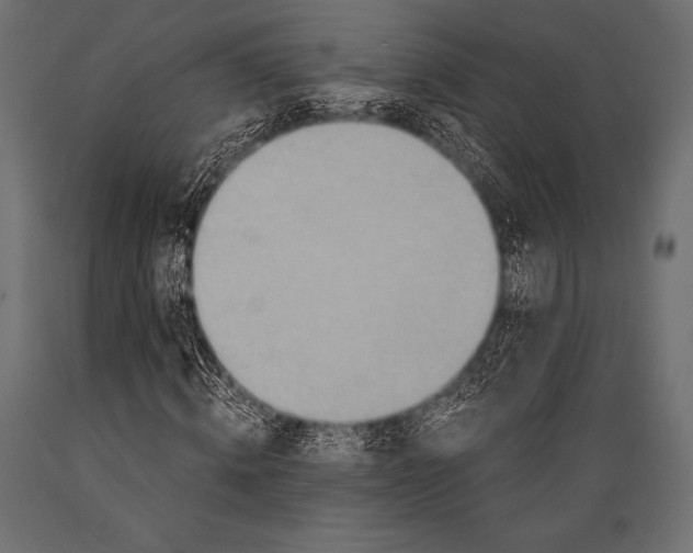 X0000088860820200706291516