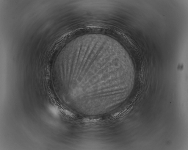 X0000088860821200706291516
