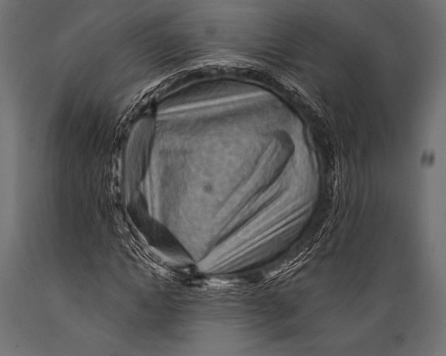 X0000088860822200706291516