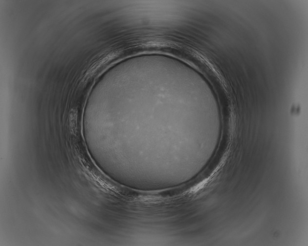 X0000088860825200706291516