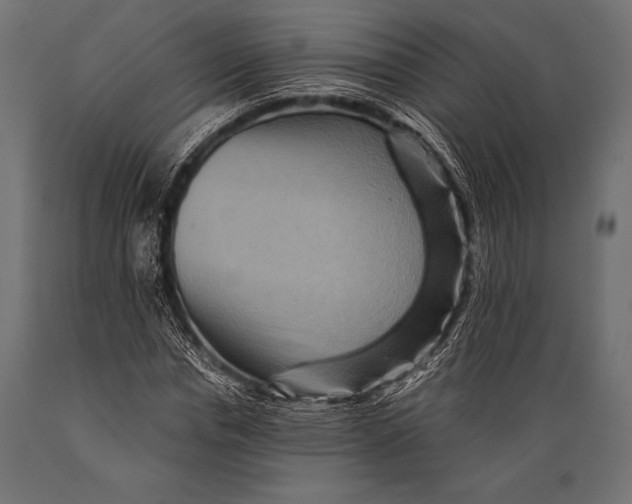 X0000088860826200706291516
