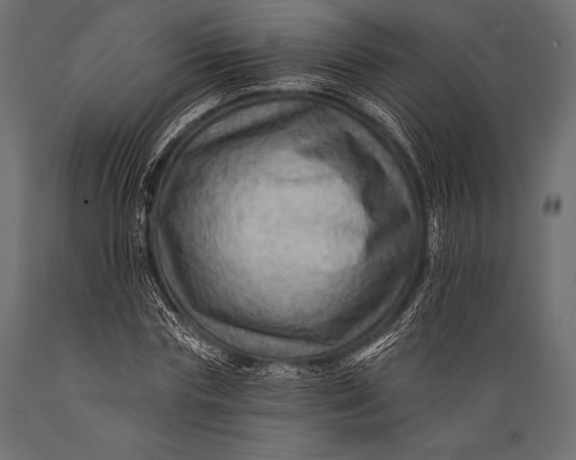 X0000088860827200706291516