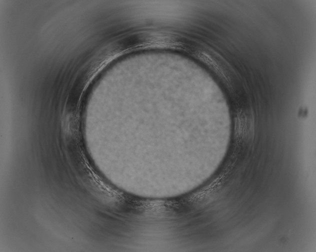 X0000088860828200706291516