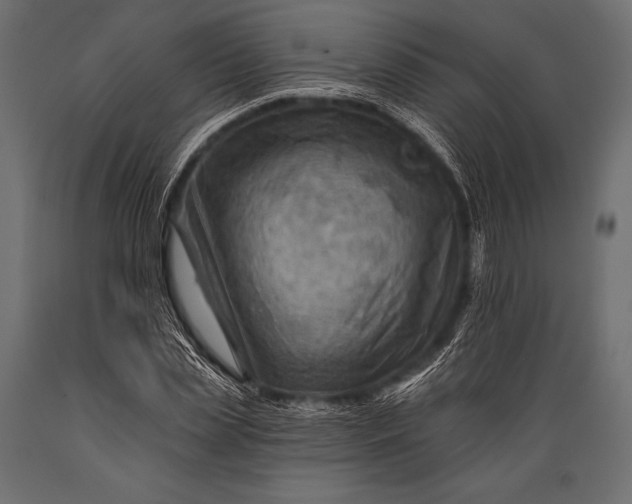 X0000088860829200706291516