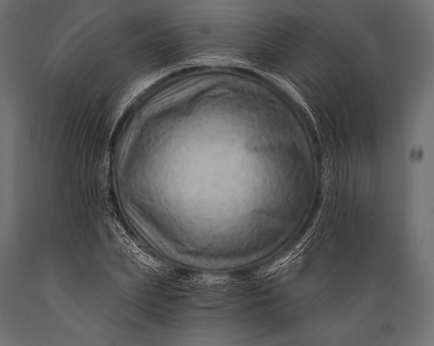 X0000088860831200706291516