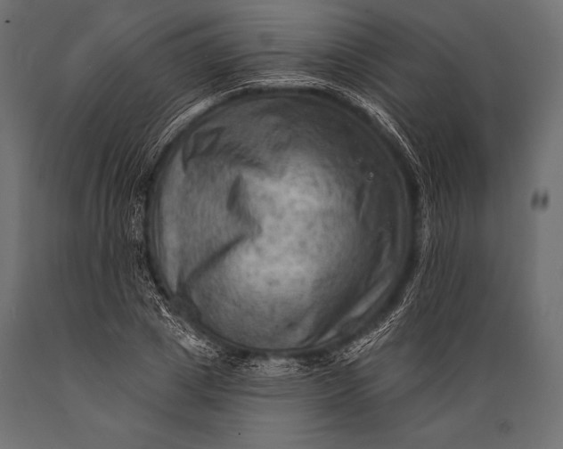 X0000088860833200706291516