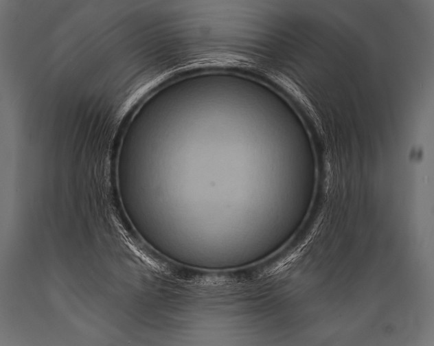 X0000088860834200706291516