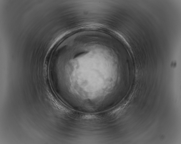 X0000088860835200706291516