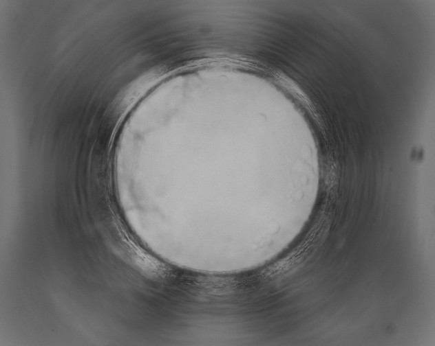 X0000088860836200706291516