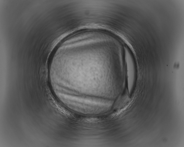 X0000088860837200706291516