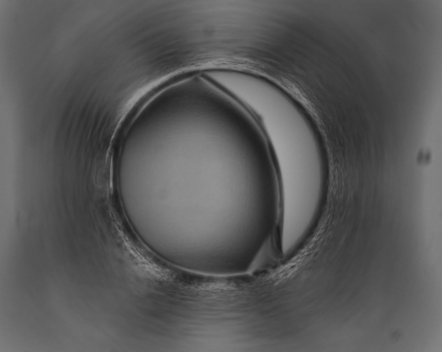X0000088860838200706291516