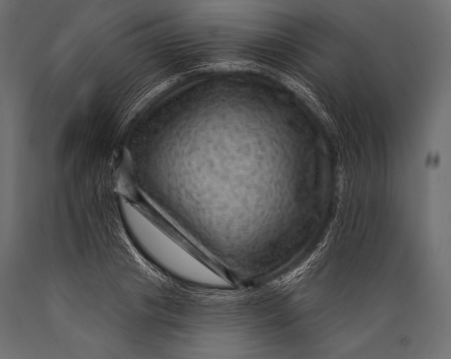 X0000088860841200706291516