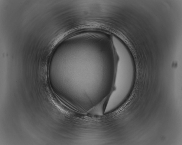 X0000088860842200706291516