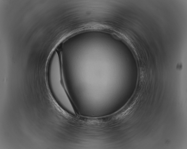 X0000088860843200706291516