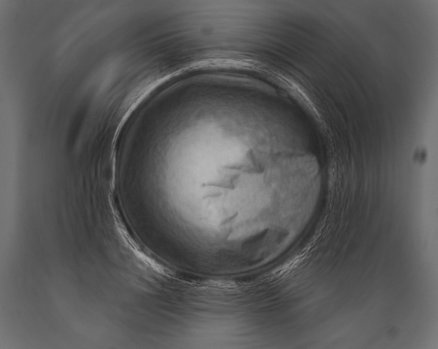 X0000088860844200706291516