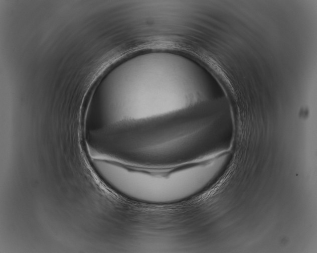 X0000088860845200706291516