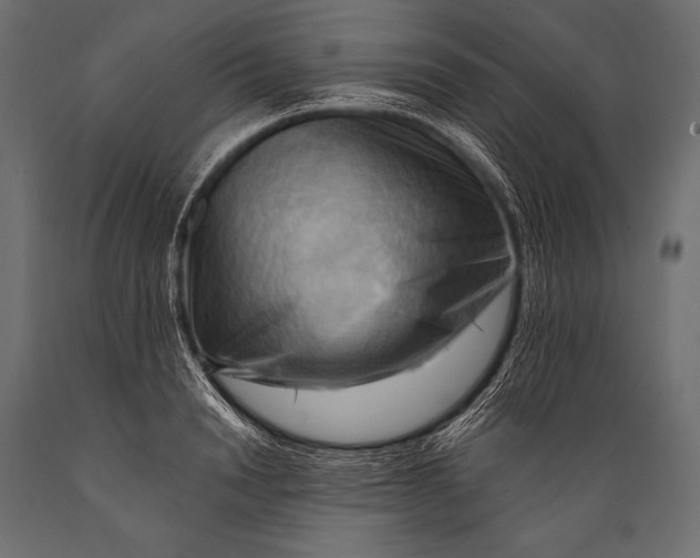 X0000088860846200706291516