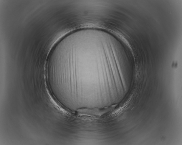 X0000088860847200706291516