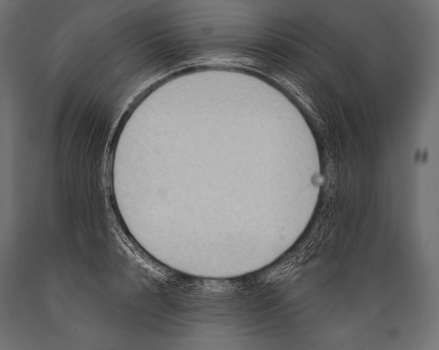 X0000088860848200706291516