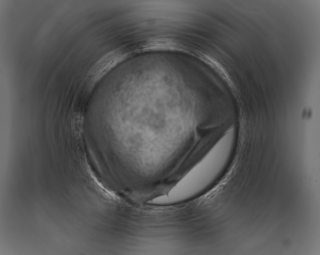X0000088860849200706291516