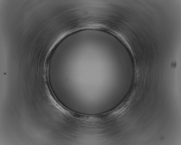 X0000088860851200706291516