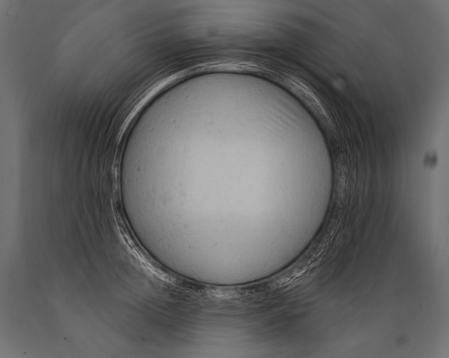 X0000088860852200706291516