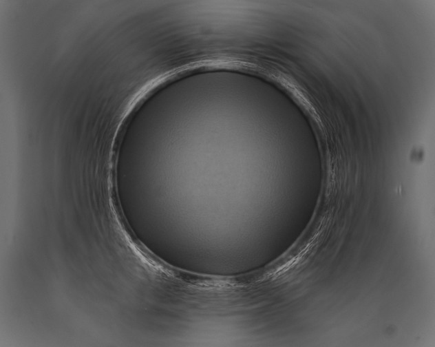 X0000088860853200706291516