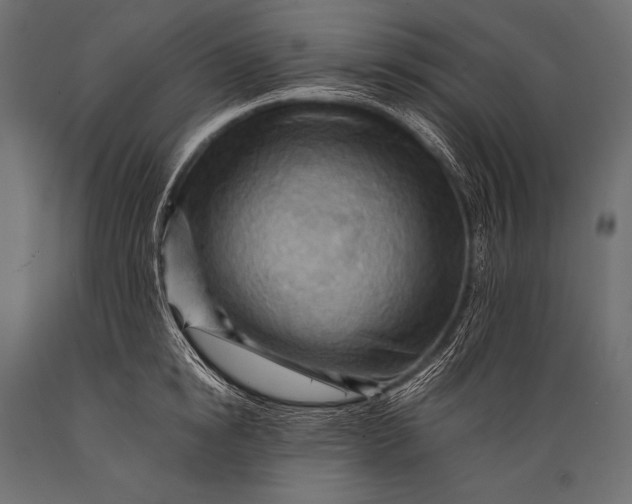 X0000088860854200706291516