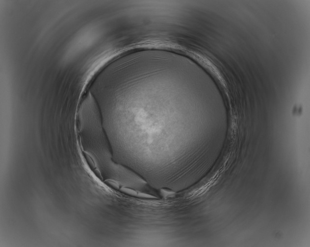 X0000088860855200706291516