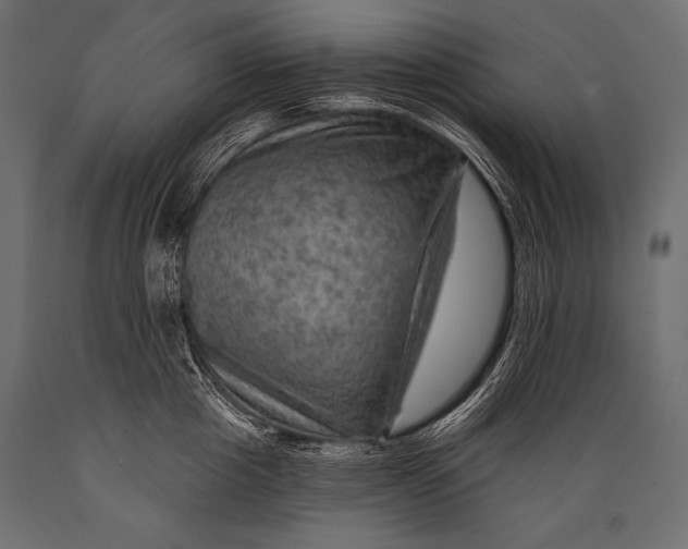 X0000088860857200706291516