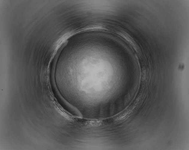 X0000088860858200706291516