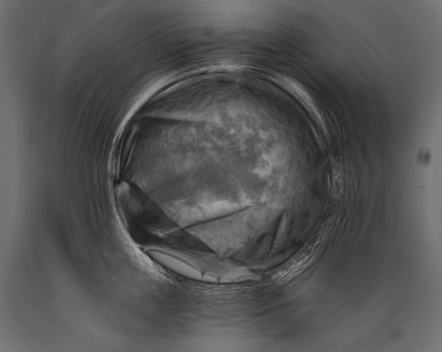 X0000088860859200706291516