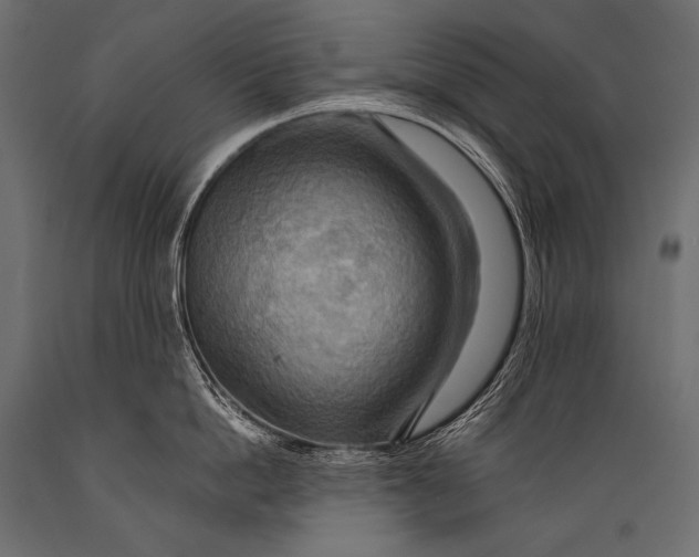 X0000088860862200706291516