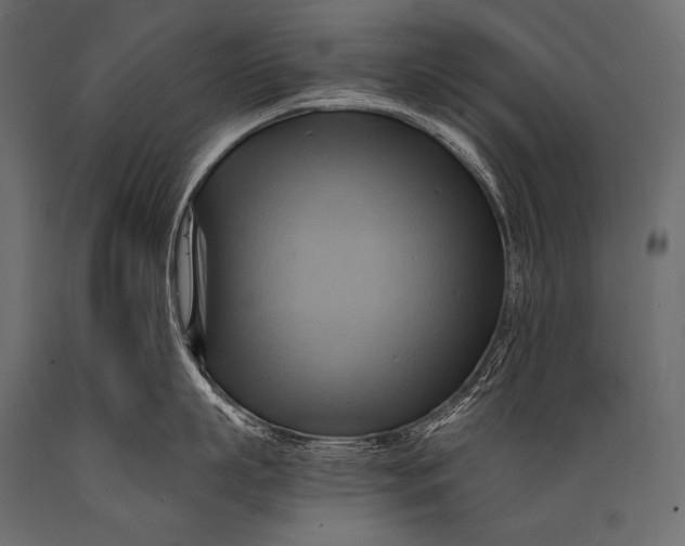 X0000088860863200706291516