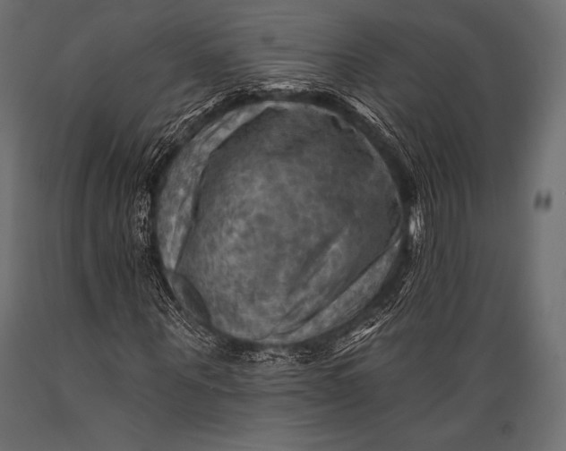 X0000088860867200706291515