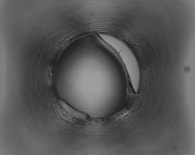 X0000088860868200706291515