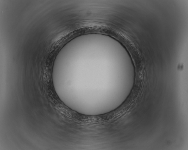 X0000088860869200706291515