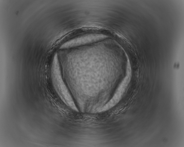 X0000088860870200706291515