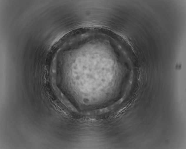 X0000088860871200706291515
