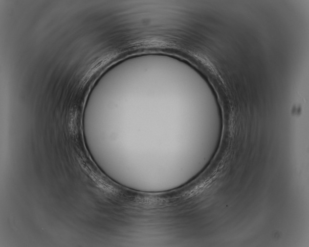 X0000088860873200706291515