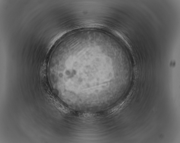 X0000088860875200706291515