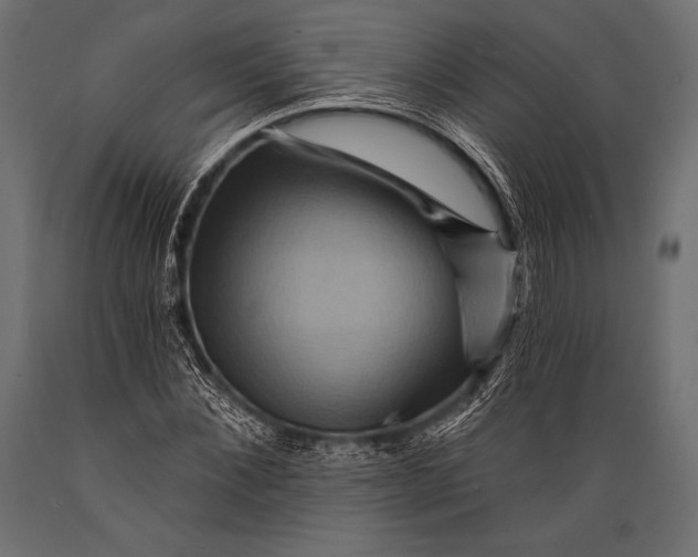 X0000088860876200706291515