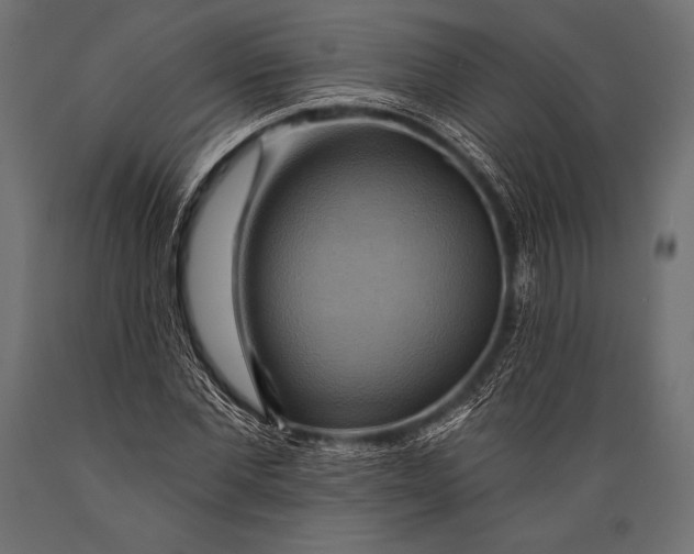 X0000088860877200706291515