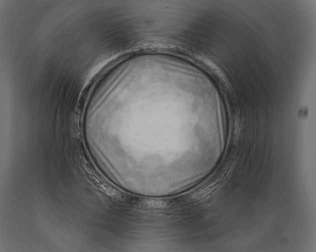 X0000088860878200706291515